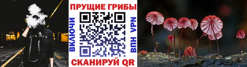 Галлюциногенные грибы прущие грибы Дмитриев