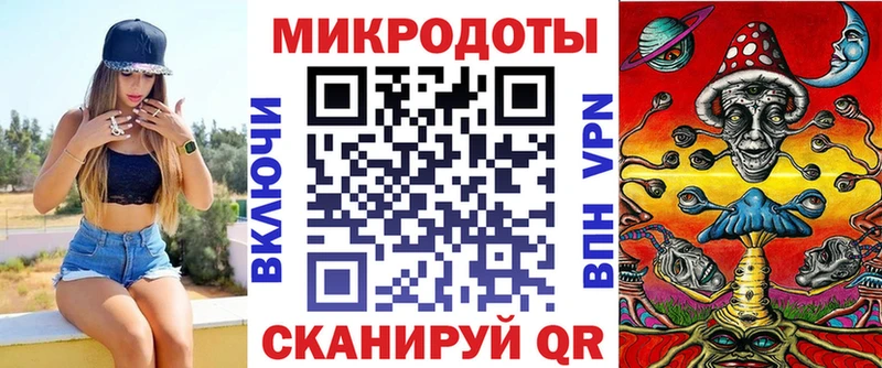 Галлюциногенные грибы прущие грибы  Дмитриев 